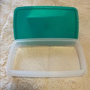 Tupperware Deli Storage Container with Green Seal